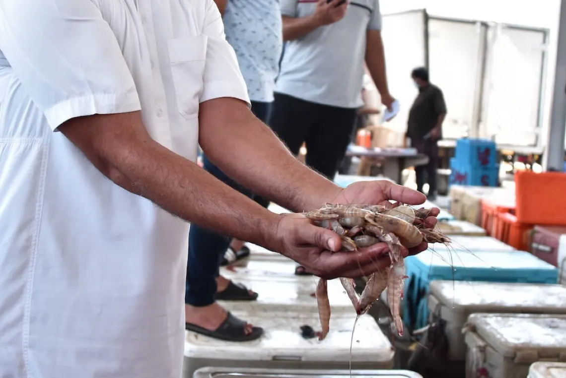 صيادو الشرقية يطالبون بتقديم موسم «صيد الروبيان» إلى يوليو