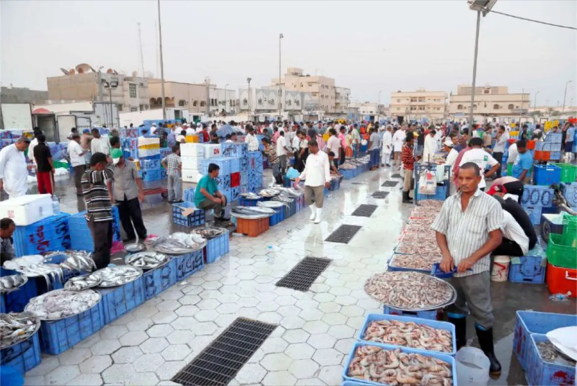 بالفيديو.. سوق السمك في القطيف.. كوارث صحية بأيدي عمالة مخالفة