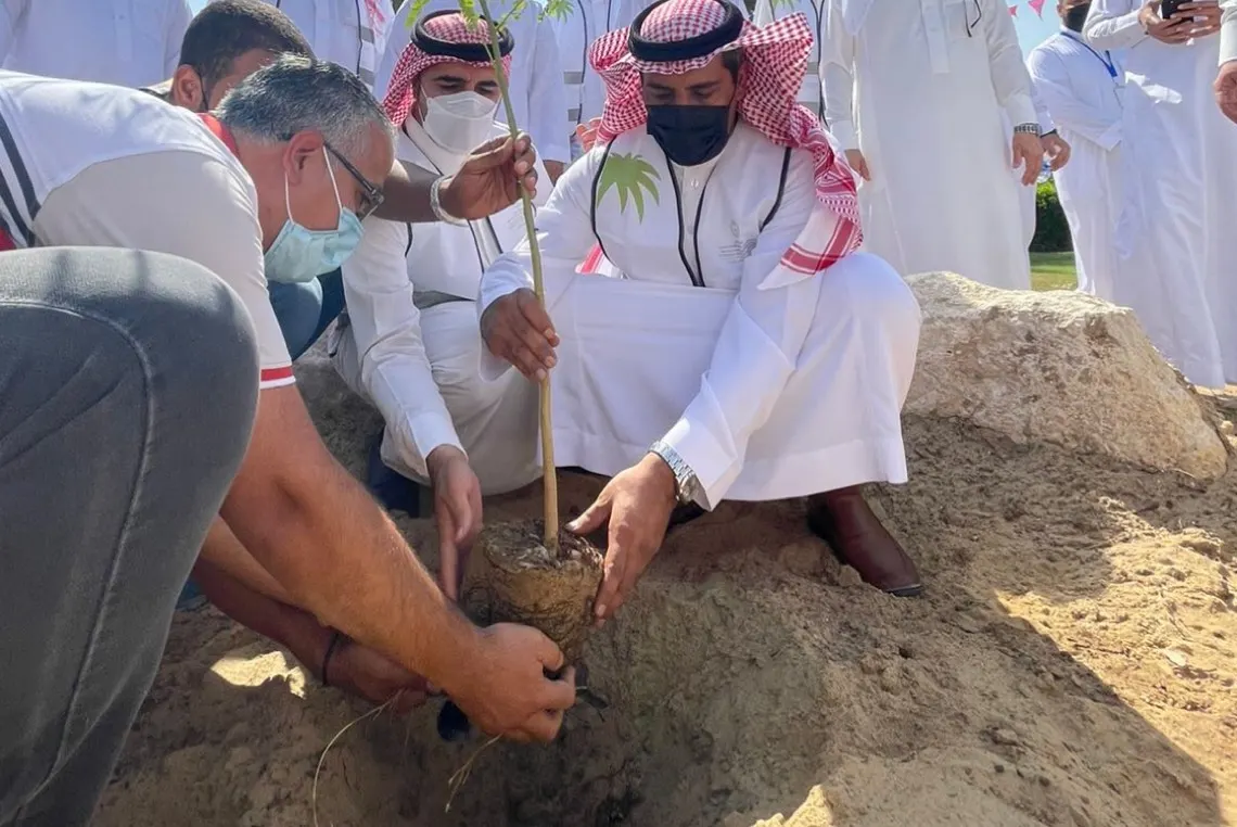 بالصور.. البيئة تطلق حملة تشجير المنطقة الشرقية «لنجعلها خضراء»