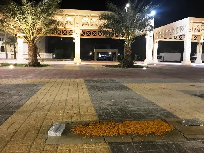 رمي بقايا الطعام.. تهديد بيئي وصحي يتنافى مع تعاليم الإسلام