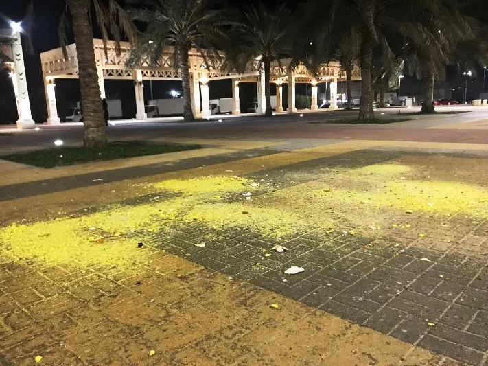 أمانة الشرقية تحذر: بقايا طعامكم تجذب الكلاب والقوارض.. لا تلوثوا بيئتنا