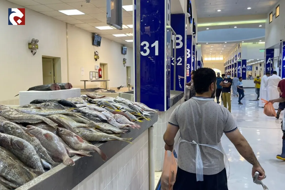 الصافي ب 100 ريال لـ 3,5 كغم والهامور ب 60 لـ 3 كغم.. استقرار أسعار السمك بالقطيف