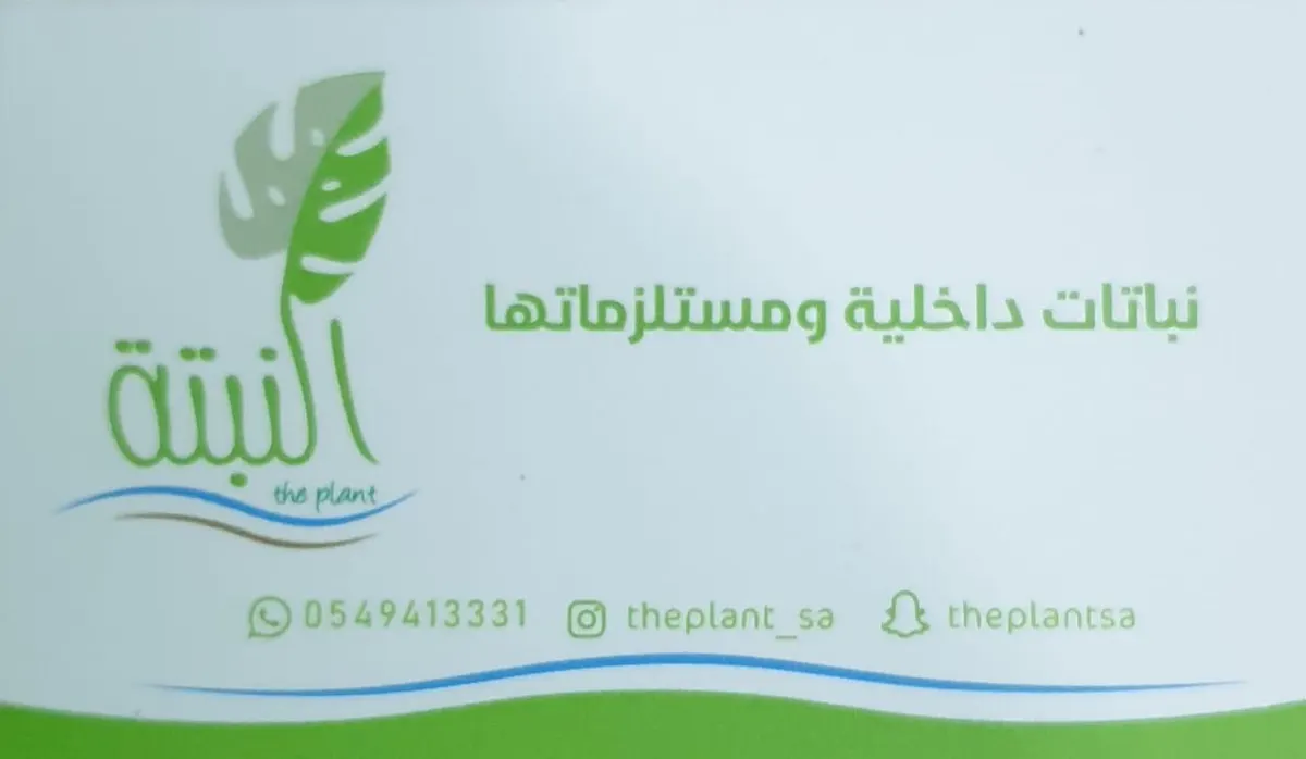 أقوى ترند مع ”النبتة“