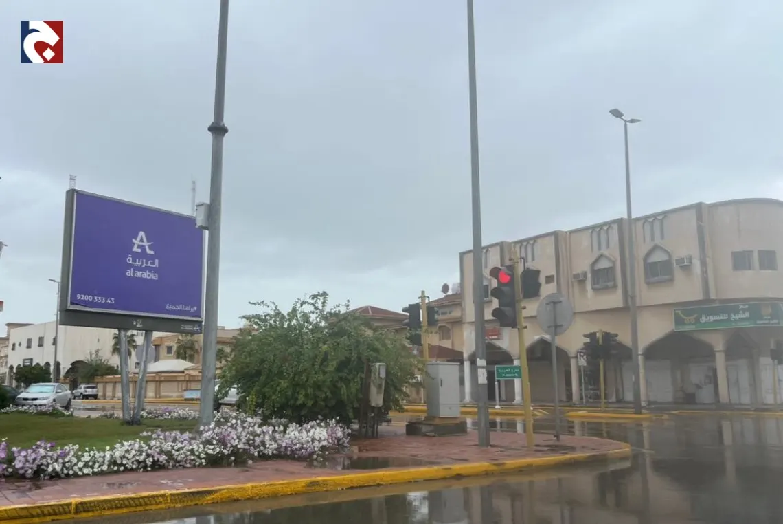 خبير طقس: مؤشرات مبشرة بشأن موسم الوسم