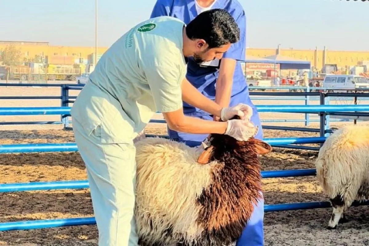 تدشين «قافلة أضحيتي» في الشرقية