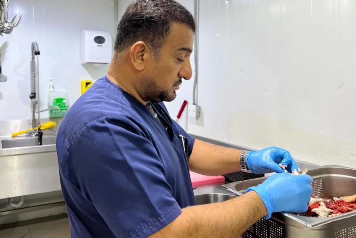 القطيف.. جولات رقابية على محلات بيع اللحوم قبل عيد الأضحى