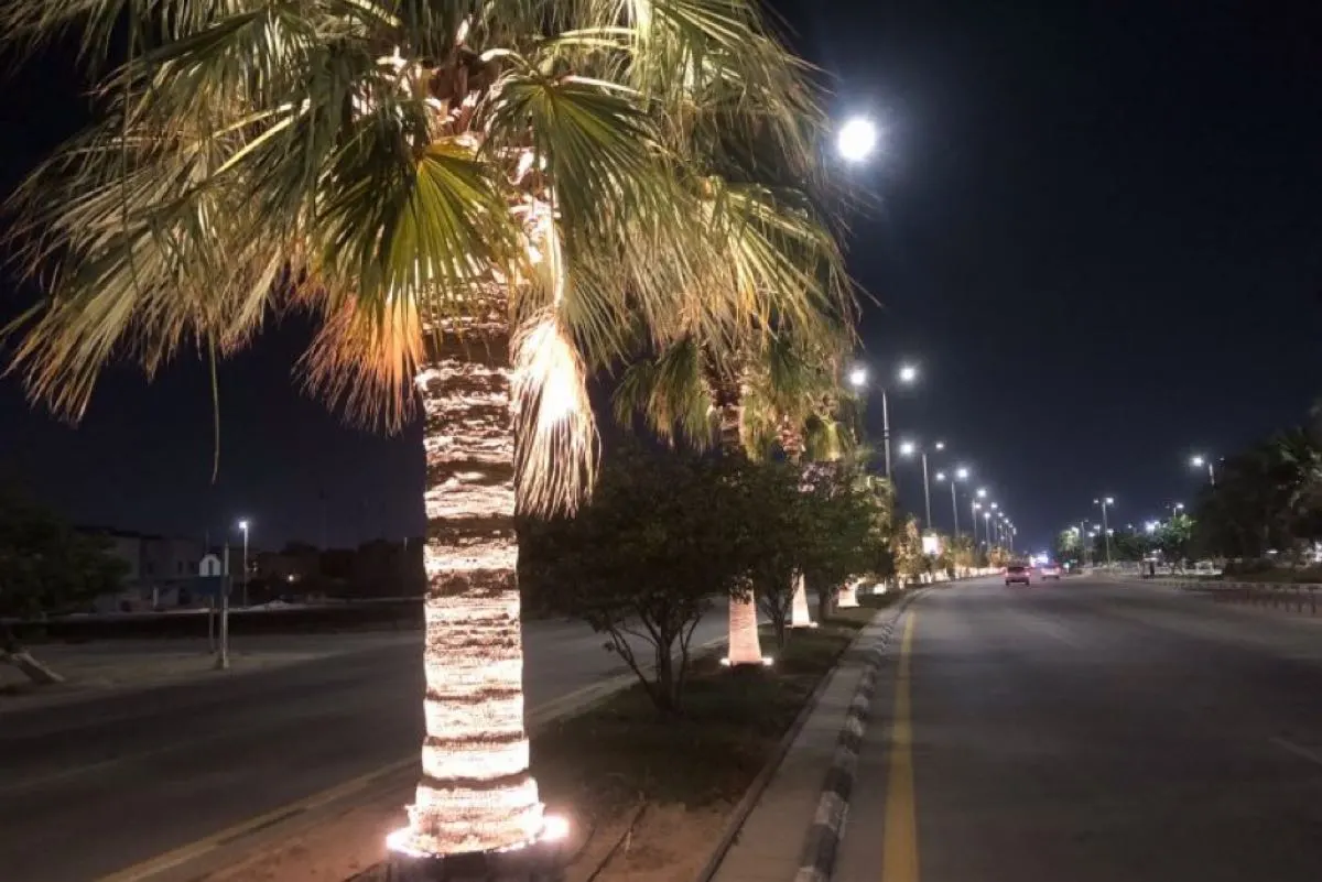 12 متنزها بالشرقية جاهز لعيد الأضحى.. والقطيف تزين شوارعها وواجهاتها البحرية