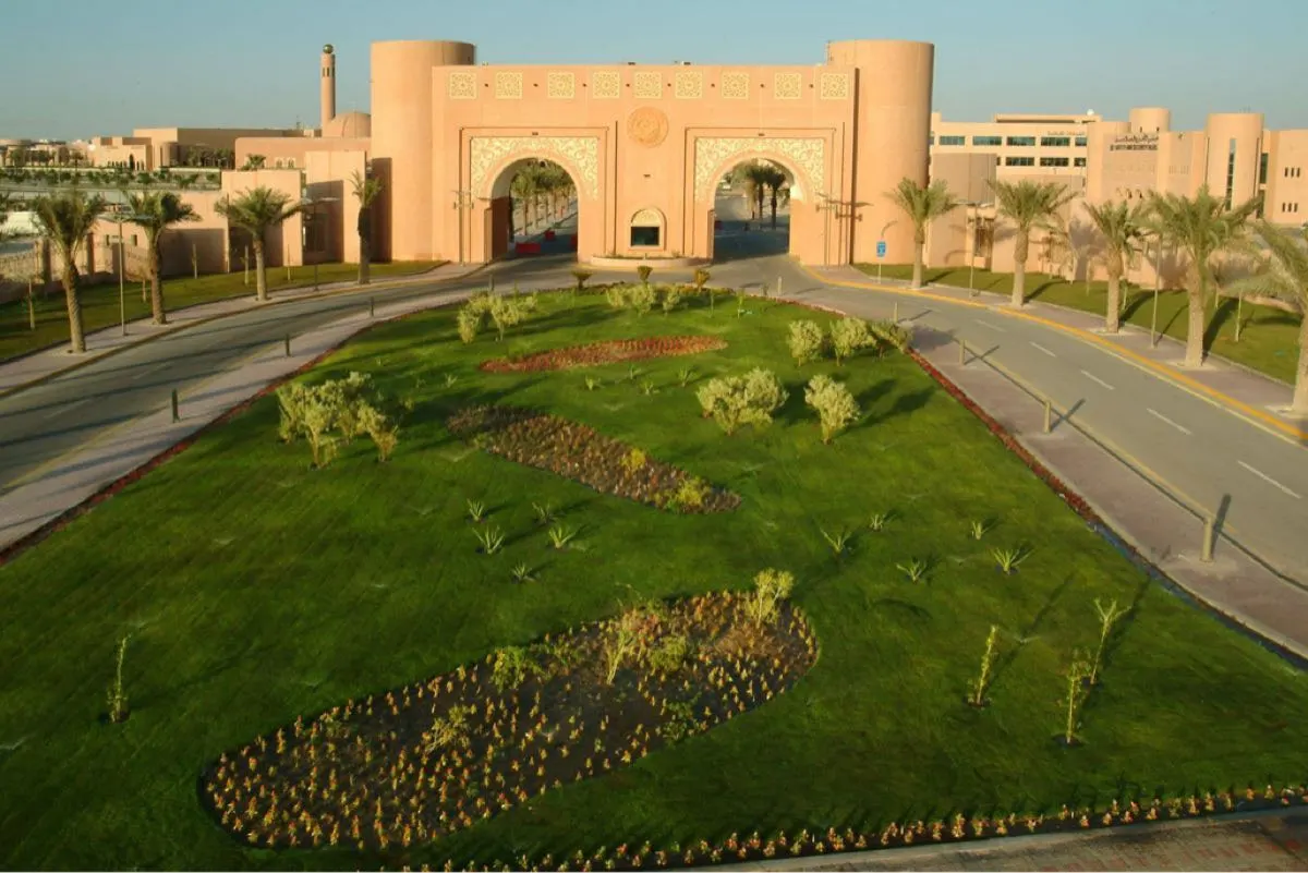 في 11 تخصصًا.. استحداث برامج جديدة ب «جامعة الملك فيصل»