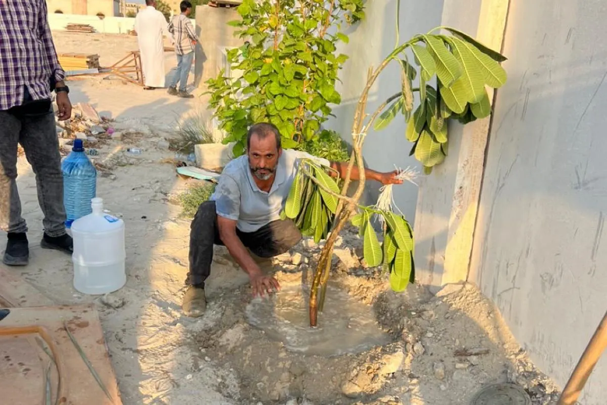 بالصور.. 60 متطوع يزرعون 100 شجرة في مقبرة الخباقة