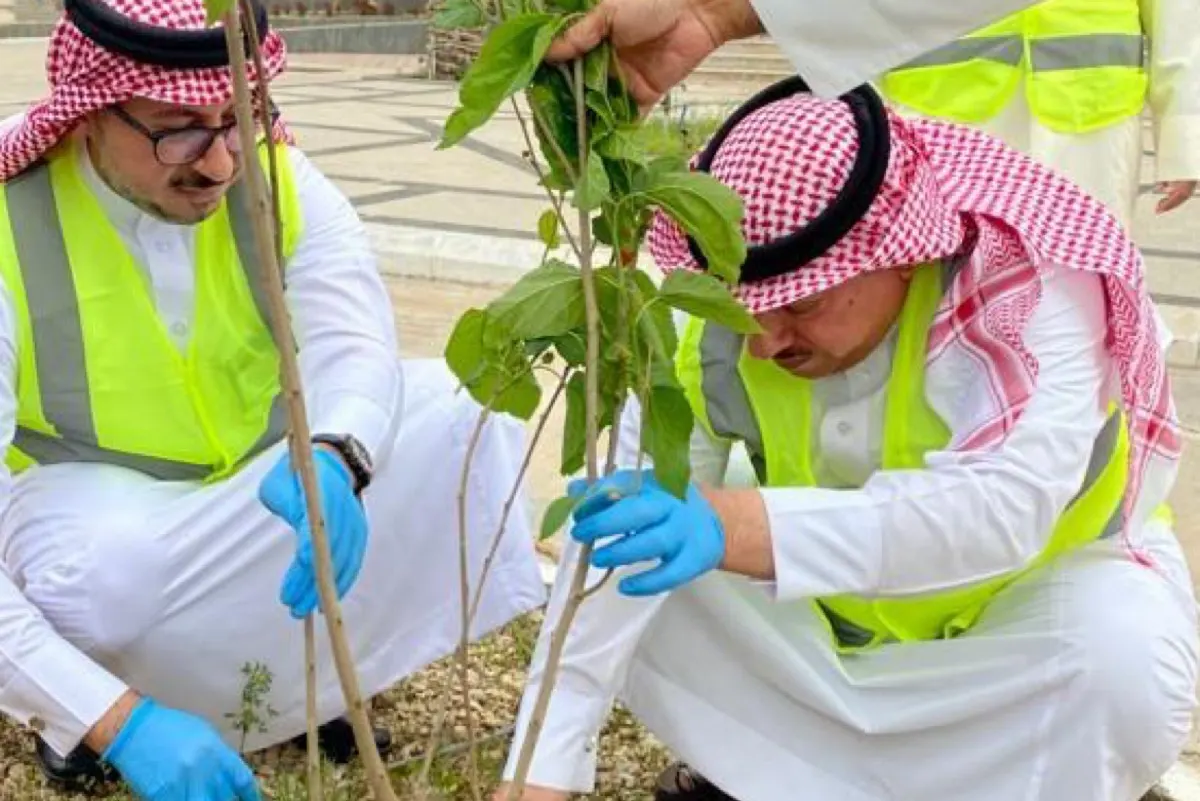الشرقية.. زراعة 10 آلاف شتلة في أولى مراحل «لنكن قدوة»