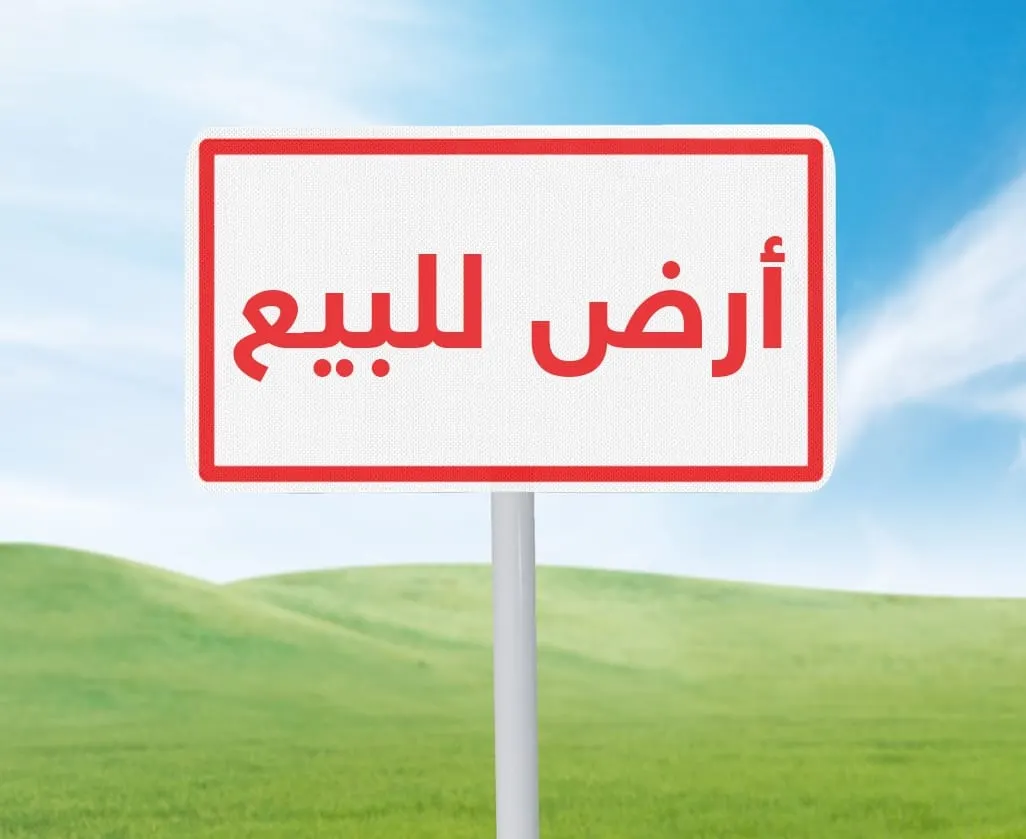 فرصة نادرة في ”بحيرة سيهات“