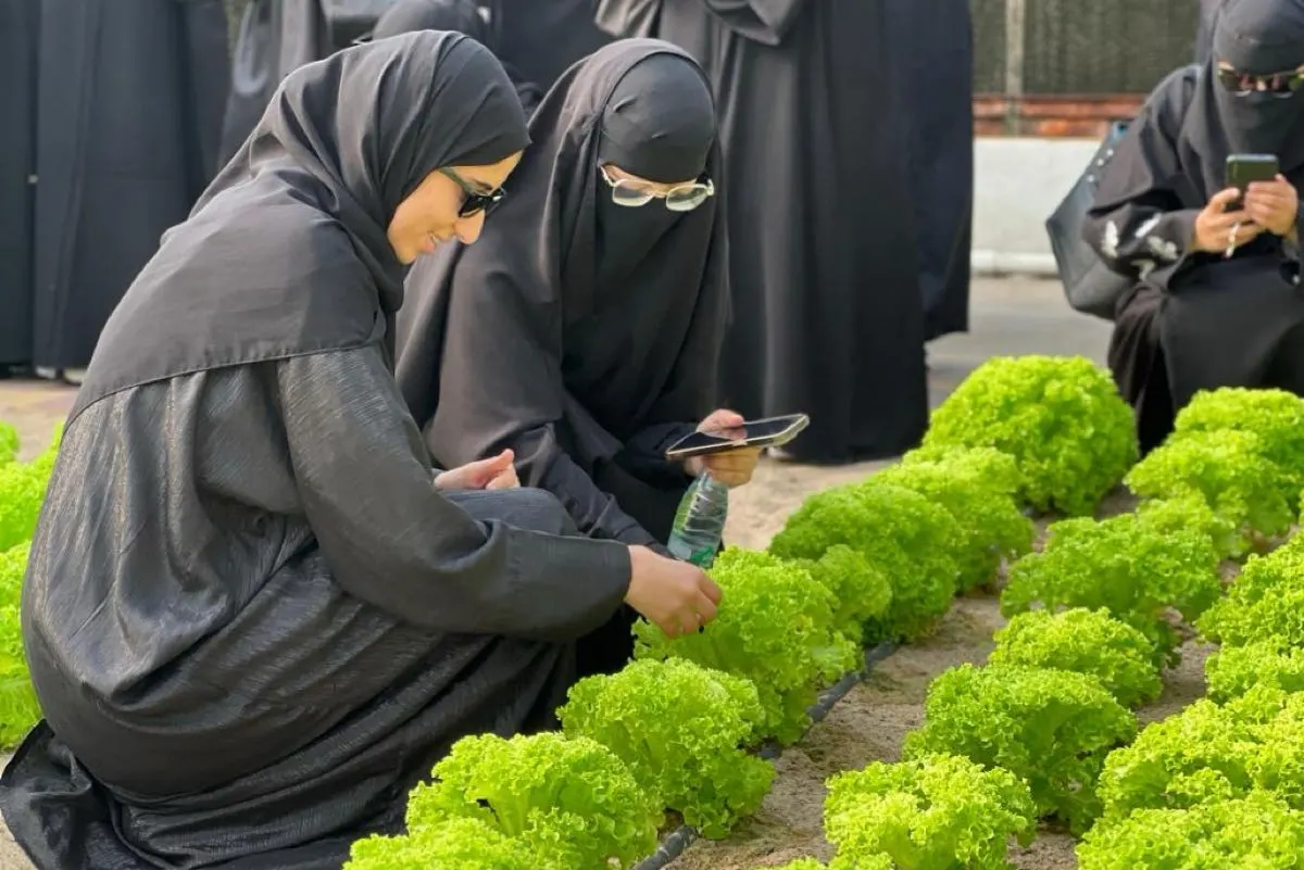 تدريب «بيئي» لـ 60 طالبة بجامعة الإمام عبدالرحمن