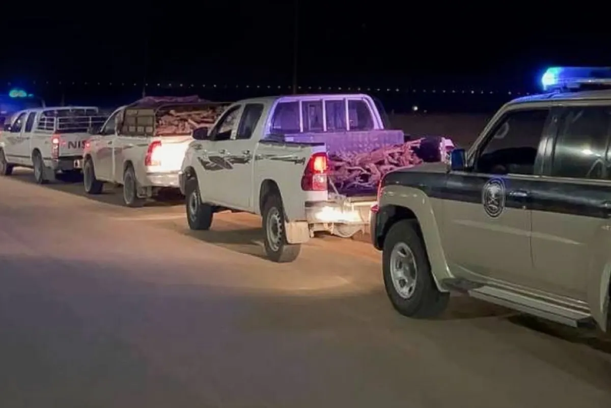 ضبط 3 مخالفين بحوزتهم حطب محلي في الشرقية