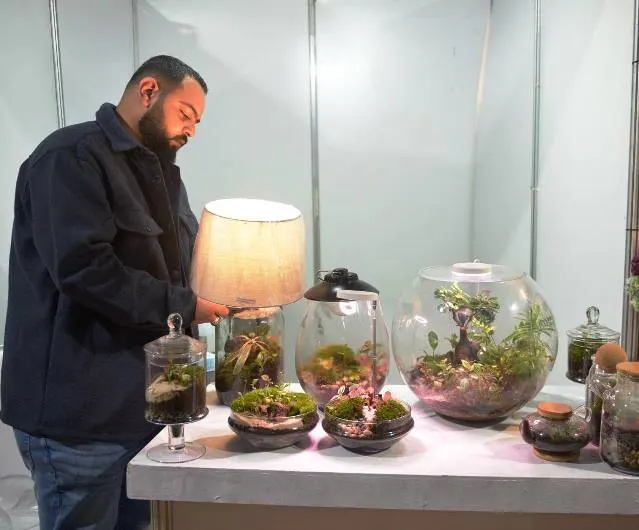 غابة استوائية داخل زجاجة في كورنيش القطيف