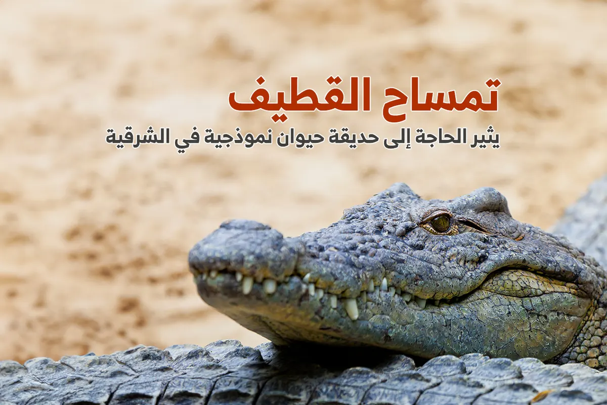 ”تمساح القطيف“ يثير الحاجة إلى حديقة حيوان نموذجية في الشرقية