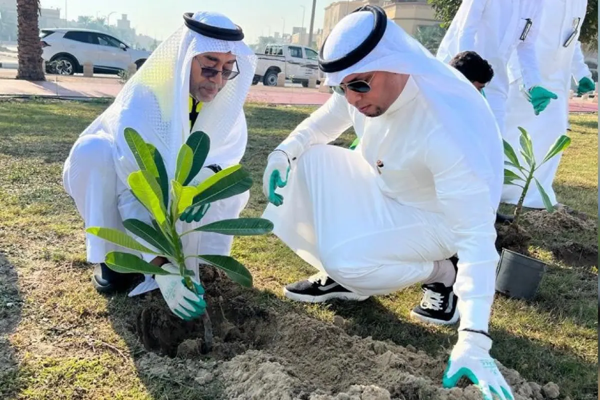 زراعة 1500 شجرة وشتلة في سيهات