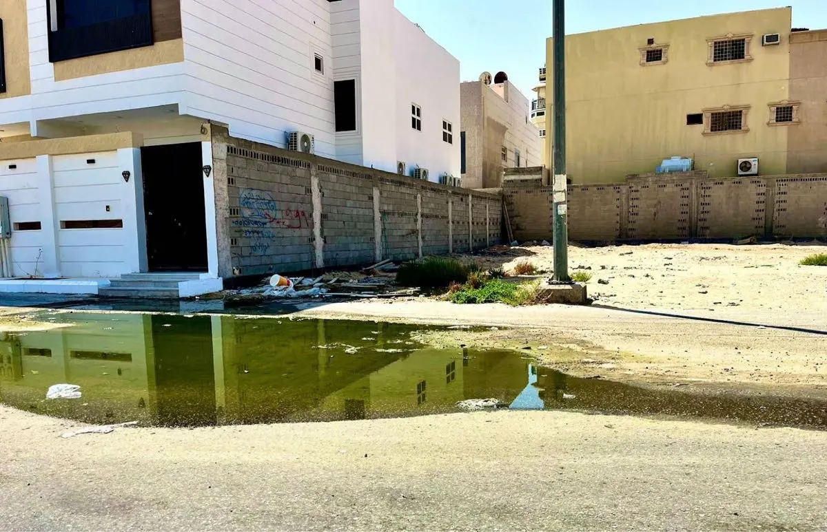 مستنقعات «الصرف الصحي».. أزمة تؤرق أهالي الأحساء