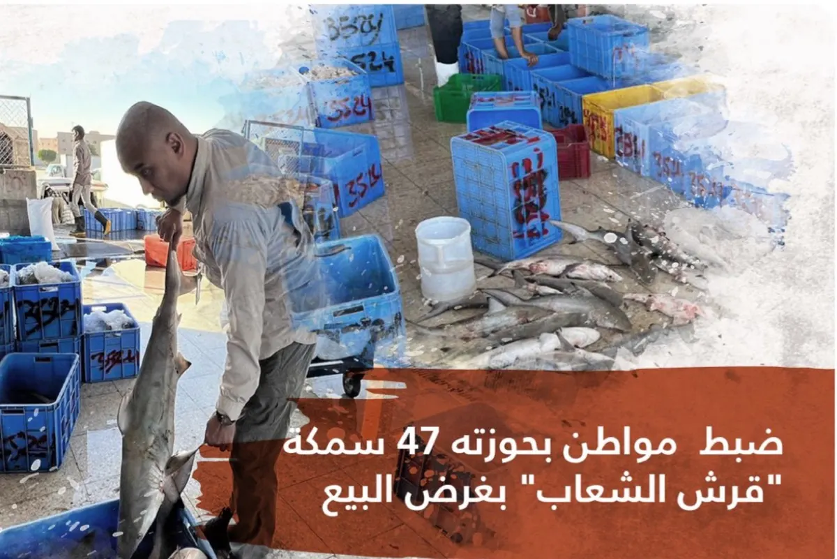 ضبط مواطن بحوزته 47 قرشًا في الشرقية.. غرامته 1,8 مليون ريال