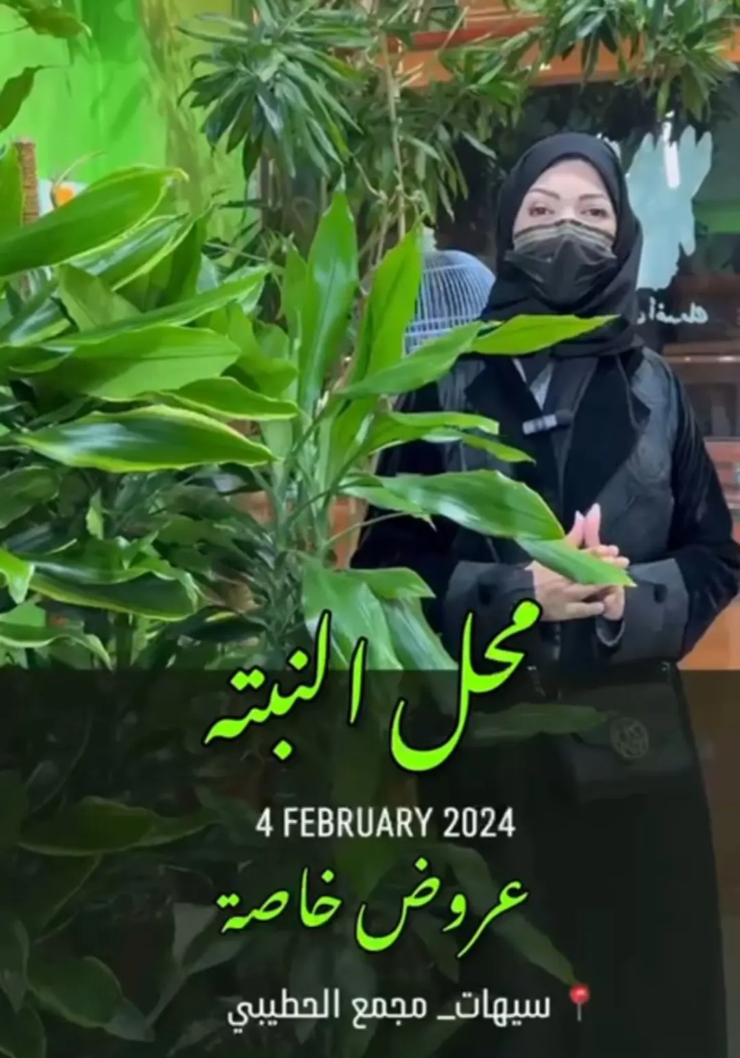النباتات المنزلية بـ 38 ريال
