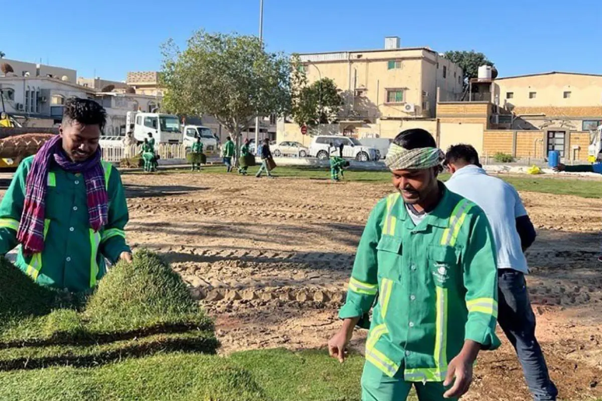 زراعة الأشجار في «حديقة السلام» بسيهات