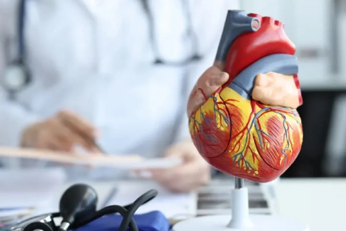 تعرف على مخاطر ”التصلب العصيدي“.. جلطة أو خثرة دموية تنتظر غفلتك!