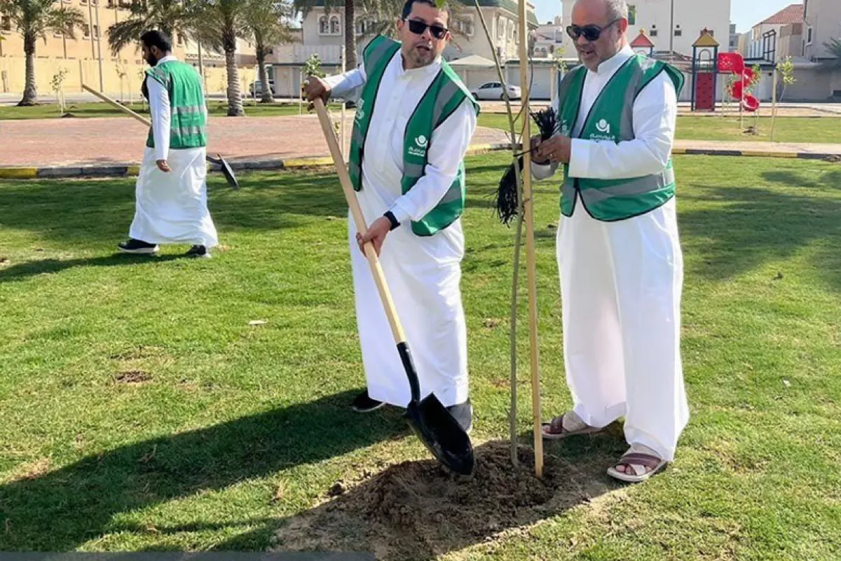 ”مساحة خضراء“ تواصل زراعة 600 شجرة في سيهات وعنك والملاحة
