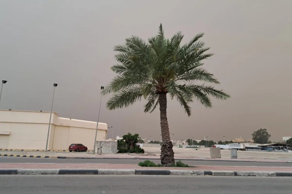 هطول أمطار رعدية مصحوبة بالبرد على القطيف