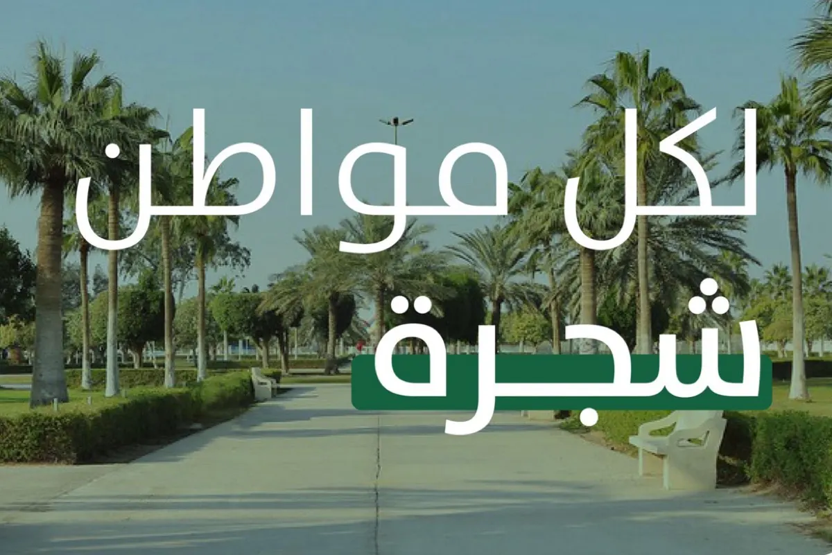 «لكل مواطن شجرة» تكافح التغير المناخي بالشرقية