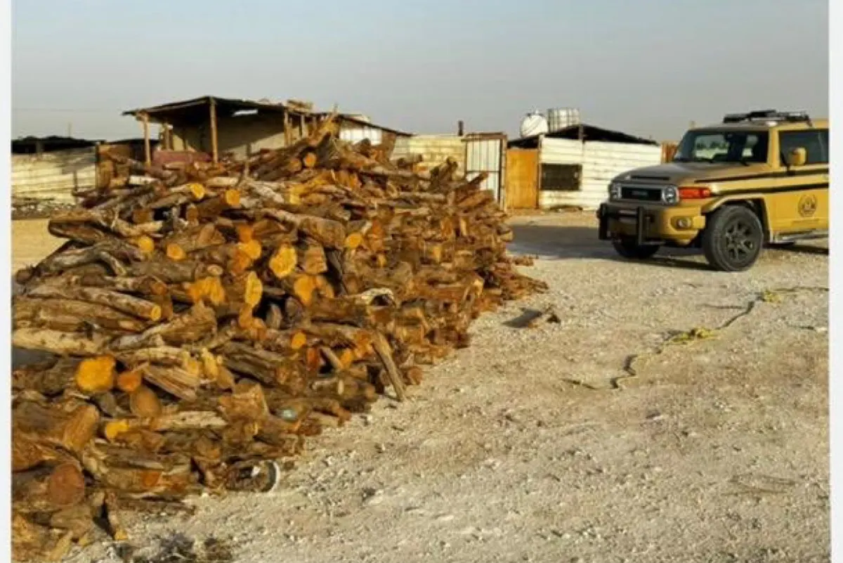 الشرقية.. ضبط مخالف لنظام البيئة لتخزينه حطبًا محليًا