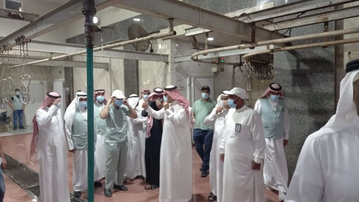قبيل العيد.. جولات ميدانية على مسالخ القطيف