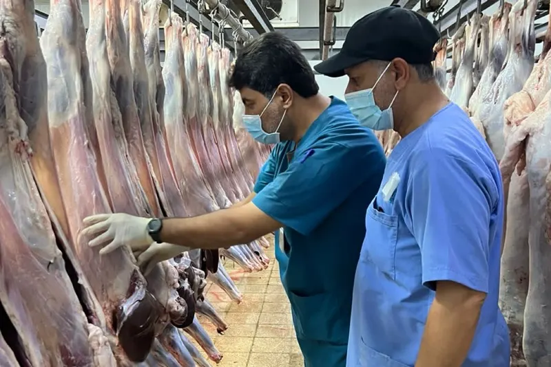 1600 جولة تكشف 34 مخالفة «بيطرية» خلال إجازة العيد
