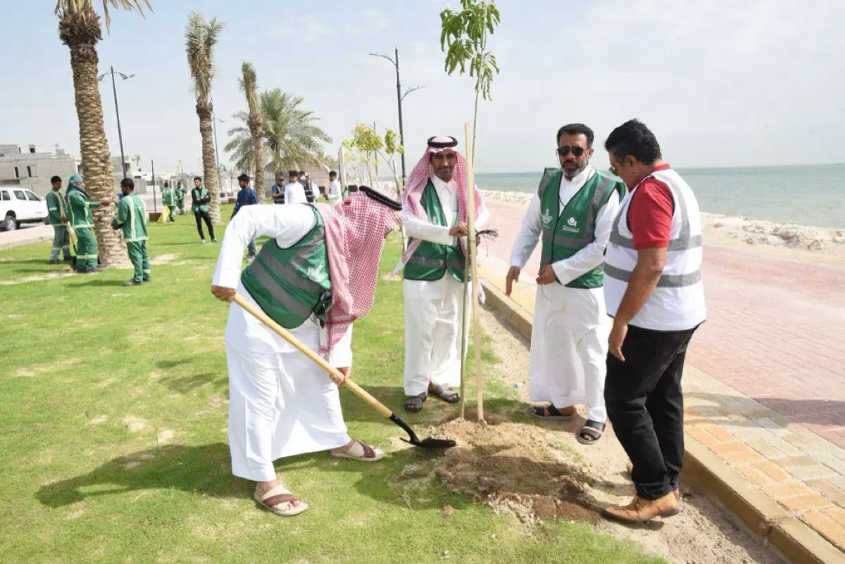 بمشاركة المتطوعين.. «مساحة خضراء» تزرع 880 شجرة في القطيف