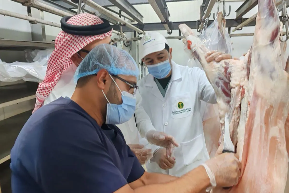 القطيف.. جولات «بيئية» على المسالخ استعدادًا لـ «الأضحى»