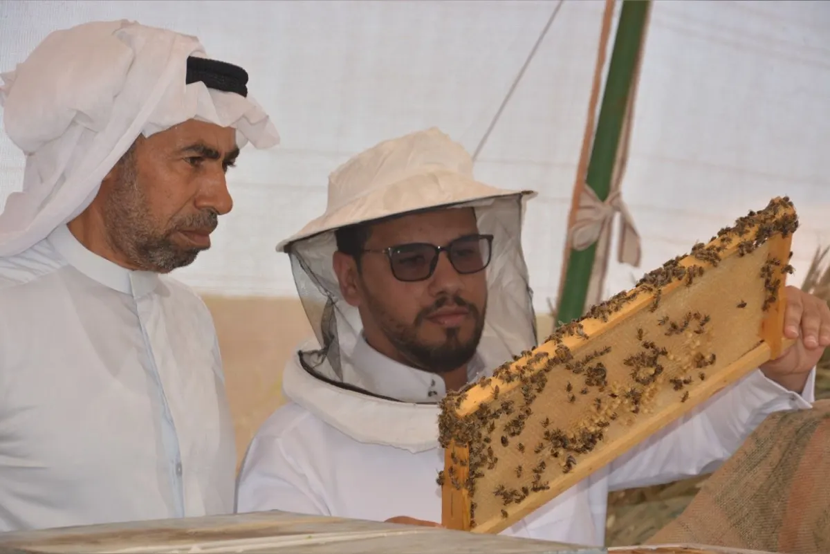 ارتفاع الحرارة يقلص إنتاج عسل المانجروف في القطيف إلى النصف