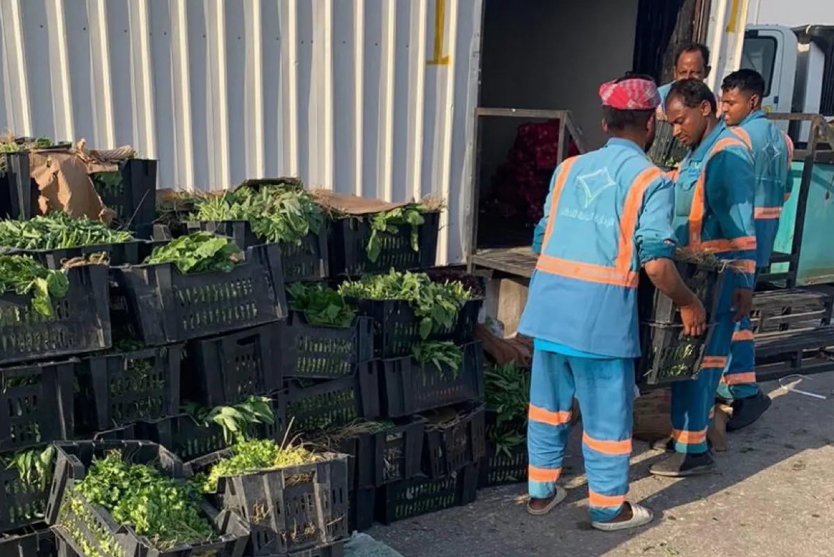 ضبط 1,170 كجم خضراوات تالفة بـ «الدمام المركزي»