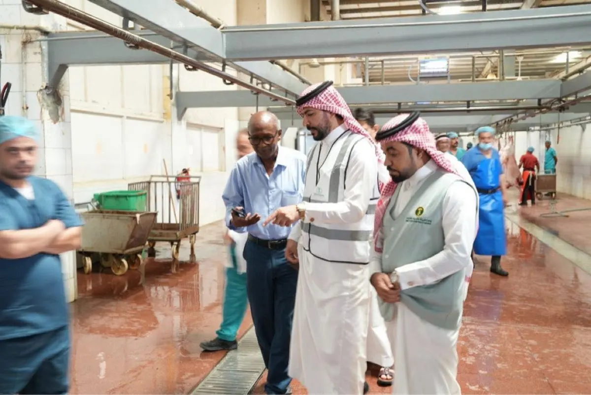 قبل عيد الأضحى.. جولات ميدانية مكثفة على أسواق الماشية والمسالخ بالأحساء