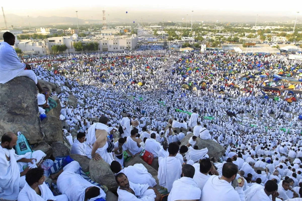 الإحصاء: مليون و 833 ألف حاج يؤدون فريضة الحج هذا العام