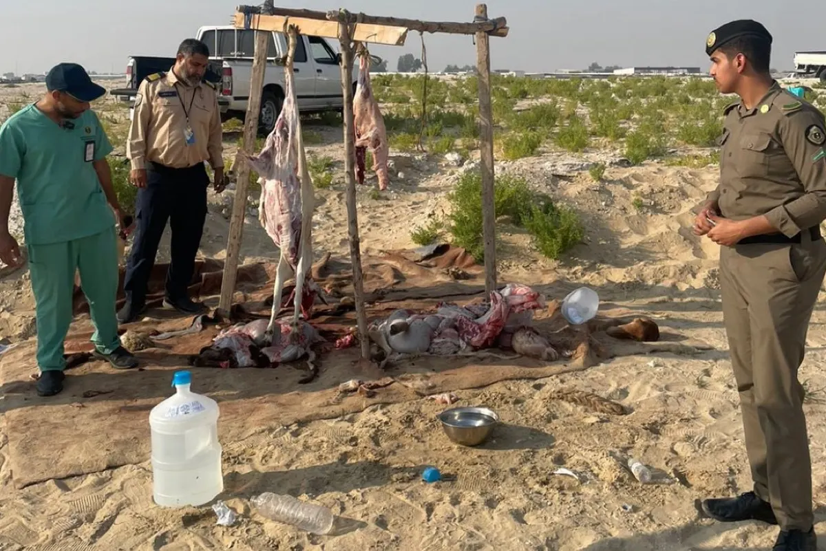 ضبط مخالفي الذبح العشوائي في الدمام