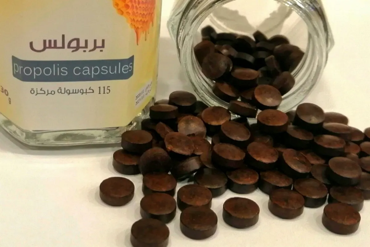 مضاد حيوي طبيعي.. 4 فوائد صحية لـ ”البروبوليس“ أو صمغ النحل