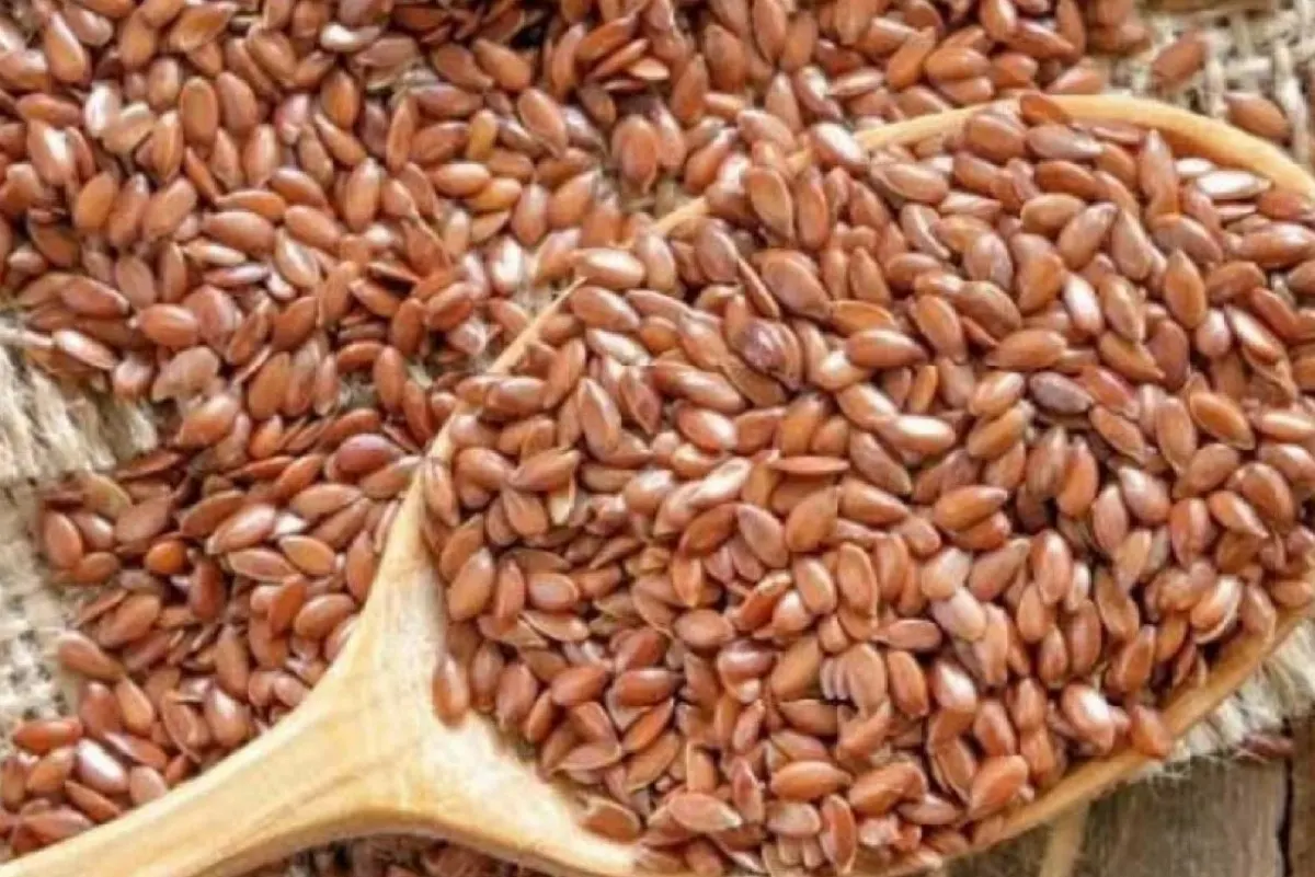”الاسباغول“.. ألياف طبيعية لمكافحة عسر الهضم والقولون العصبي
