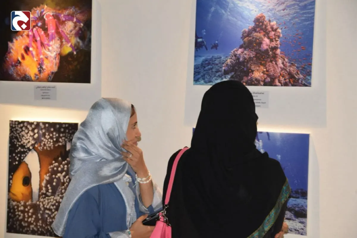 ”تحت الماء“.. عدسة الغواصين ترسم لوحات فنية في الدمام