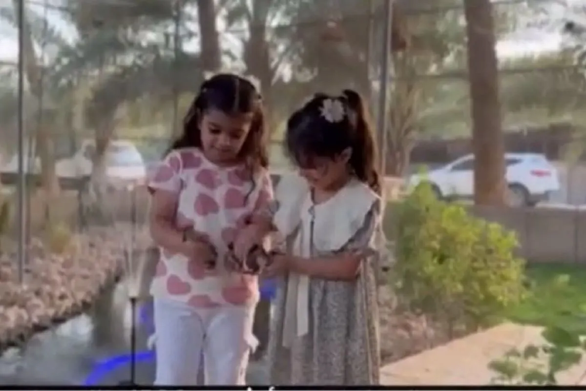 الأحساء.. شاب ينشئ محمية للطيور النادرة