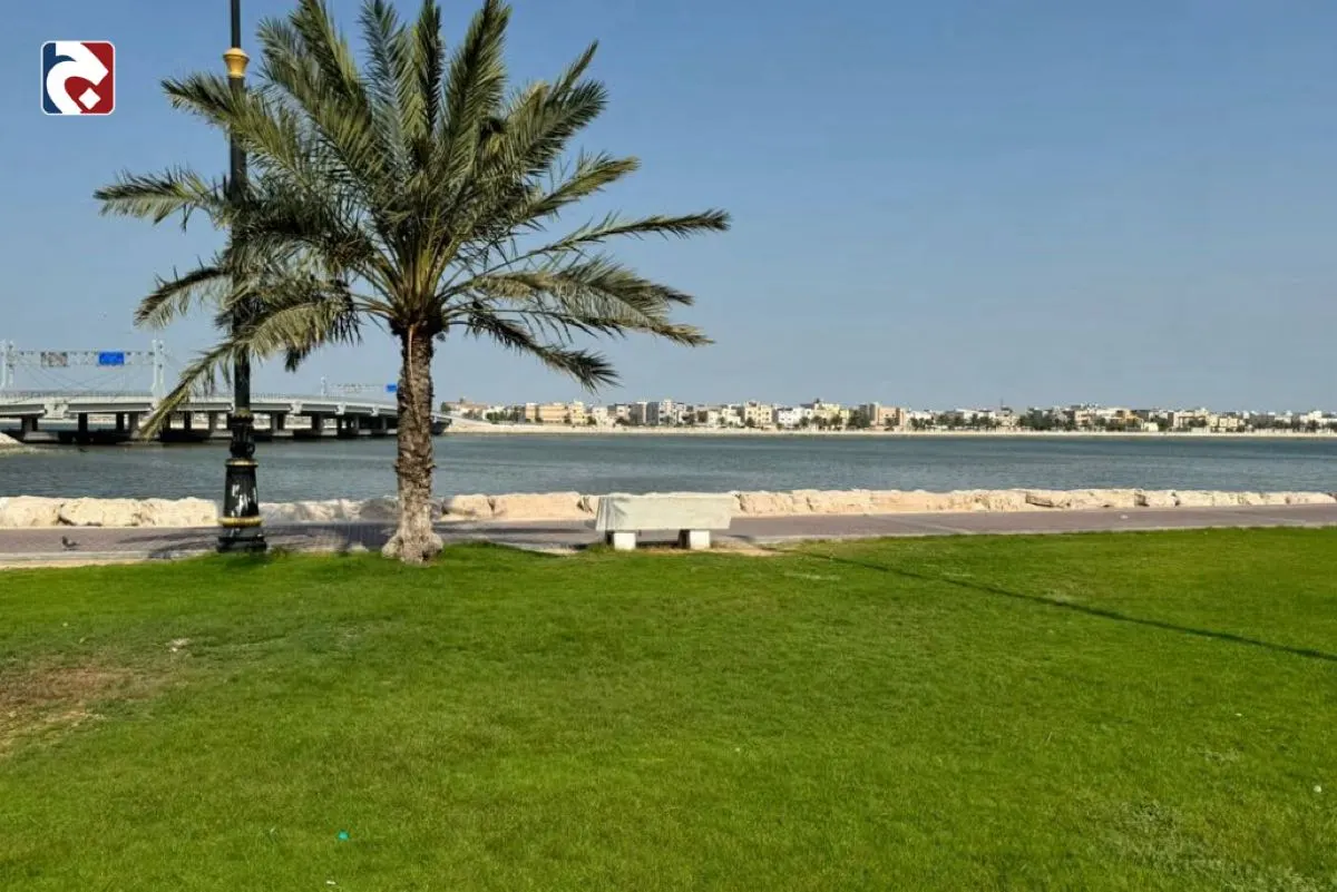 52 يوماً مدة «الوسم» الحسابية.. وتراجع رطوبة السواحل يبدأ غداً