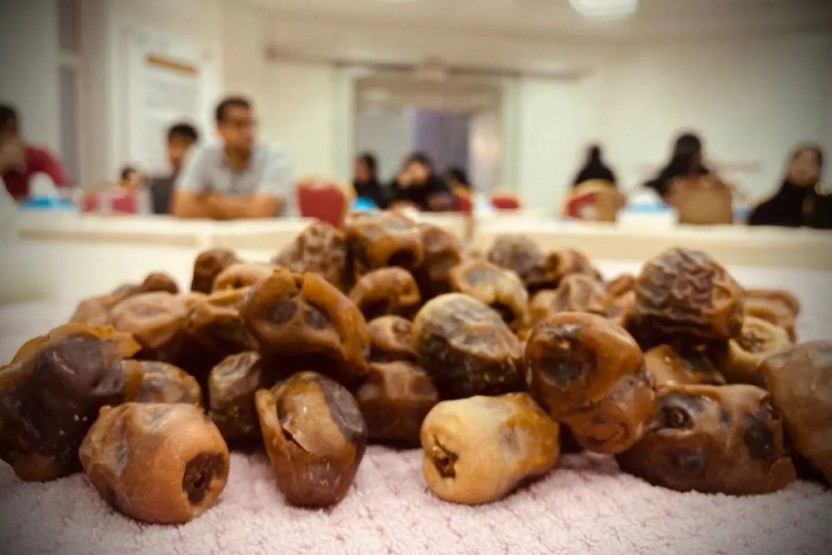 كيف تحافظ على تمورك طازجة بعد الحصاد؟ البيئة تجيب