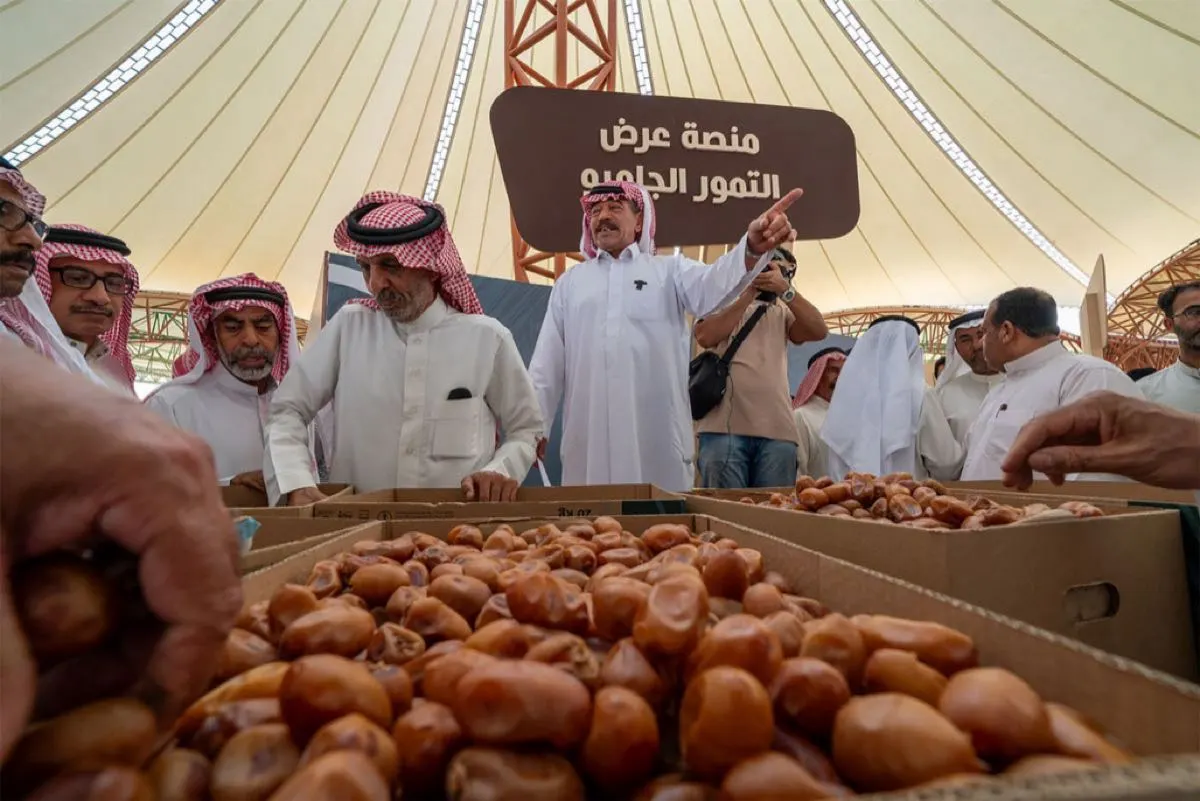 يستمر 45 يومًا.. انطلاق «صرام تمور الأحساء 2024»
