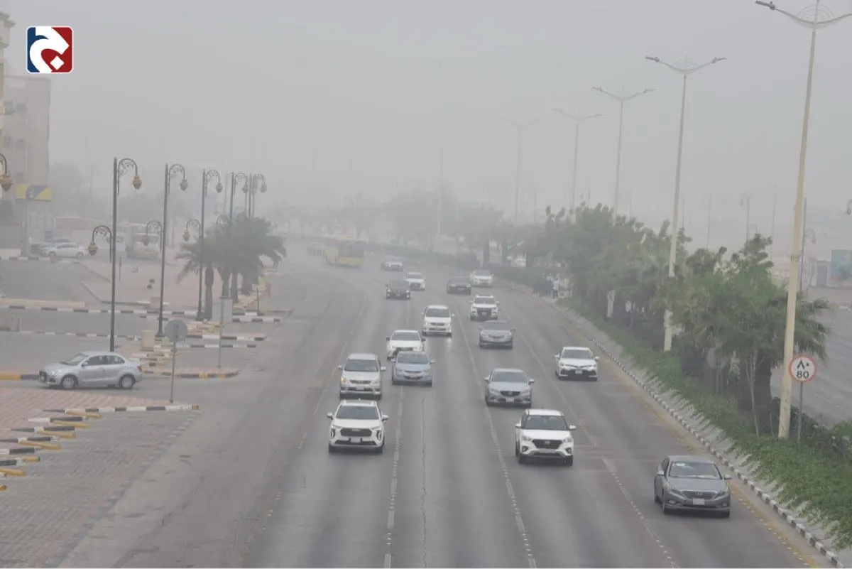 لا تستخدم النور العالي.. 3 إشادات مهمة لقيادة المركبات أثناء الضباب الكثيف