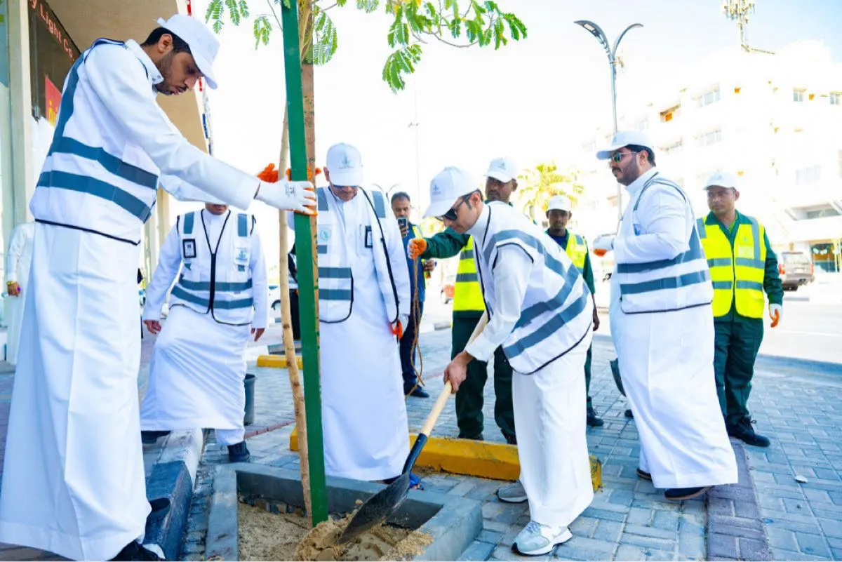 بمشاركة 30 متطوعًا.. 3,5 مليون زهرة وشجرة تزين شوارع وحدائق الدمام