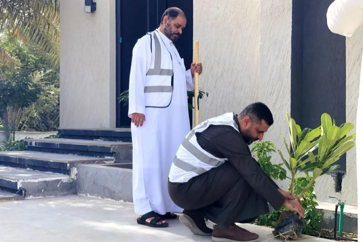 «غرس 3».. تشجير واجهات المباني ضمن «قطيفنا تستاهل»