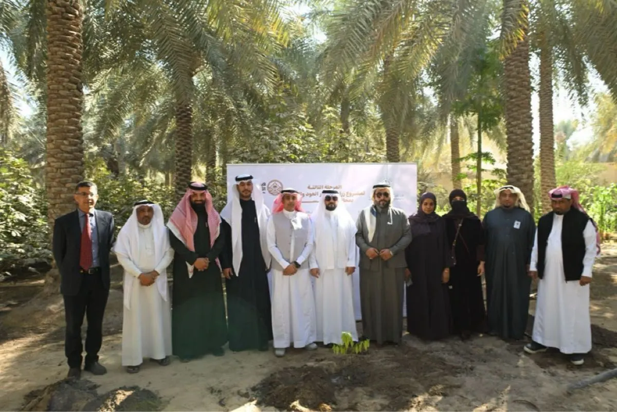 الأحساء.. إطلاق ثالث مراحل زراعة أشجار «العود والصندل»