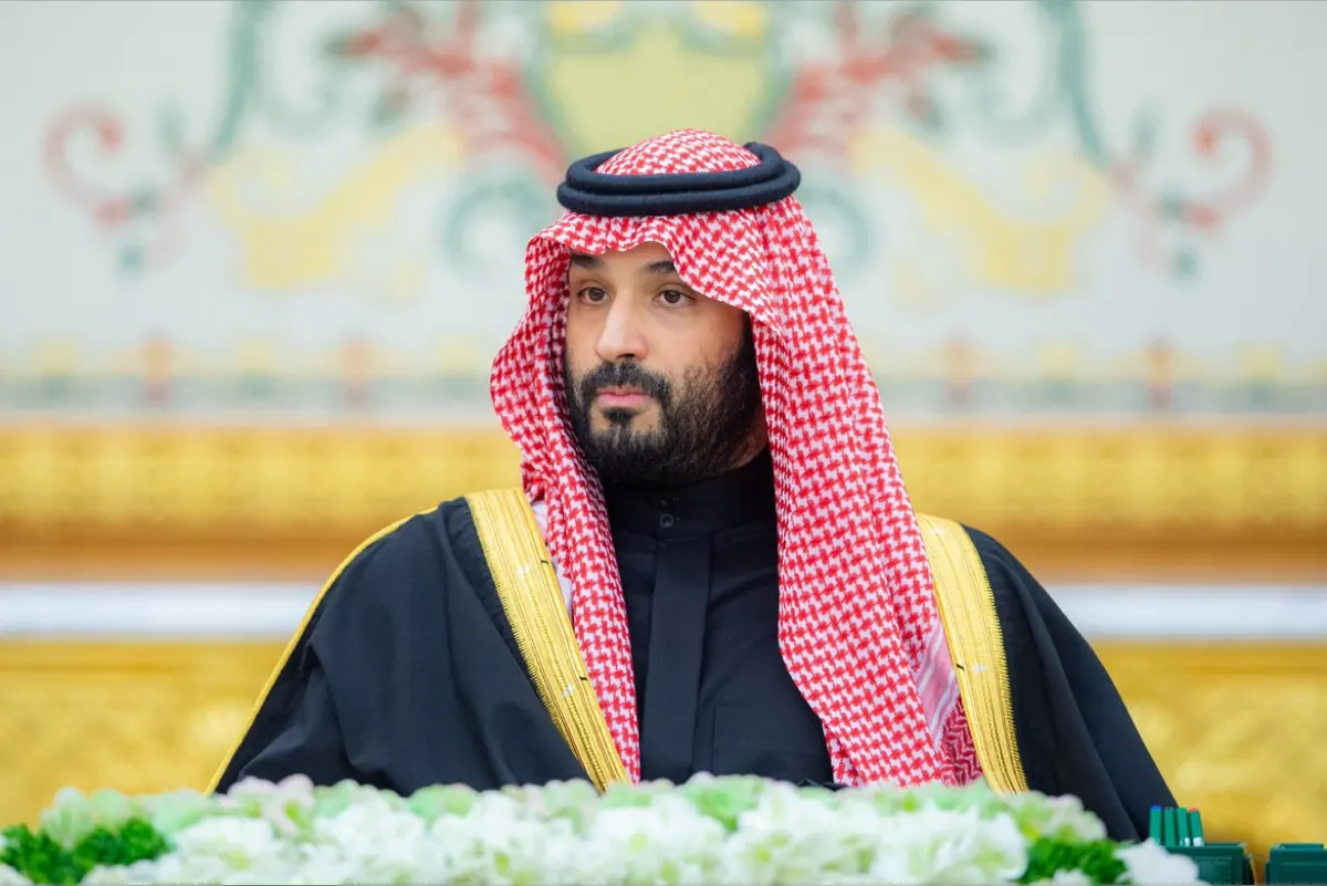 نقل تراخيص 4 مهن من التجارة إلى هيئة المراجعين والمحاسبين